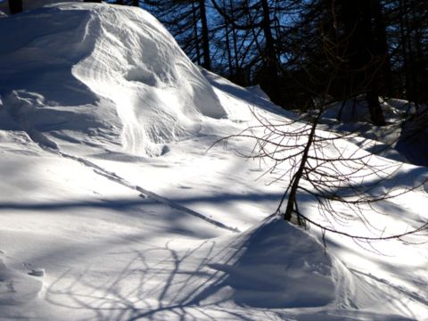 Schneeschuhwoche im Piemont (2015)